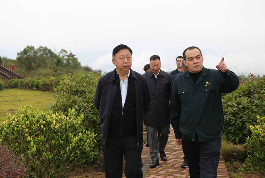 19-2021年10月，原國(guó)土資源部副部長(zhǎng)汪民蒞臨公司調(diào)研。.jpg