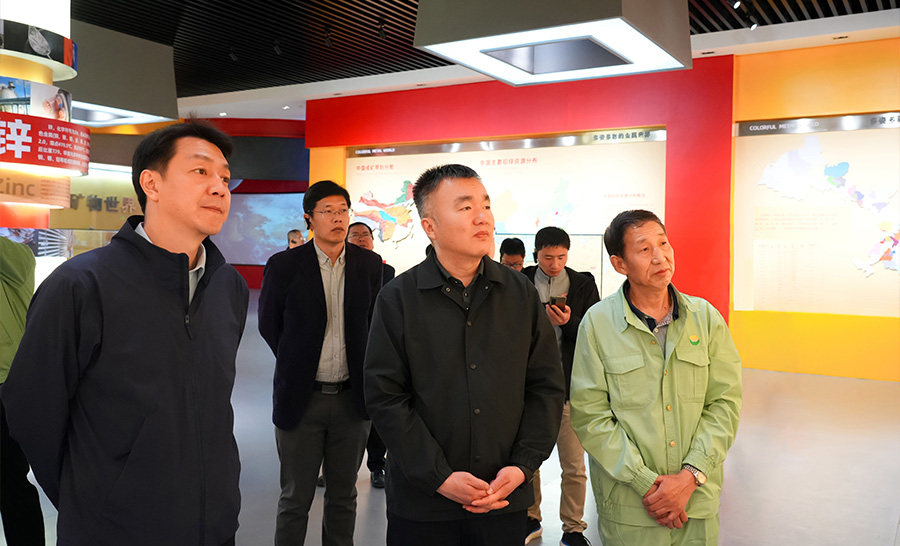 10.4-2024年04月，自然資源部礦保司副司長(zhǎng)王博蒞臨公司調(diào)研。.jpg