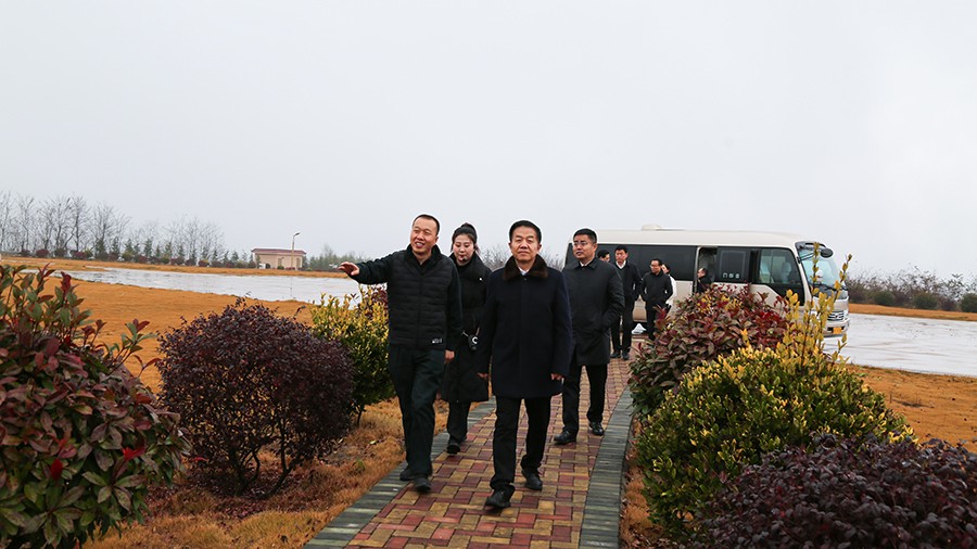 45-2020年12月，省高級(jí)人民法院黨組成員、副院長(zhǎng)任建國(guó)蒞臨金徽股份調(diào)研知識(shí)產(chǎn)權(quán)司法保護(hù)工作。.jpg
