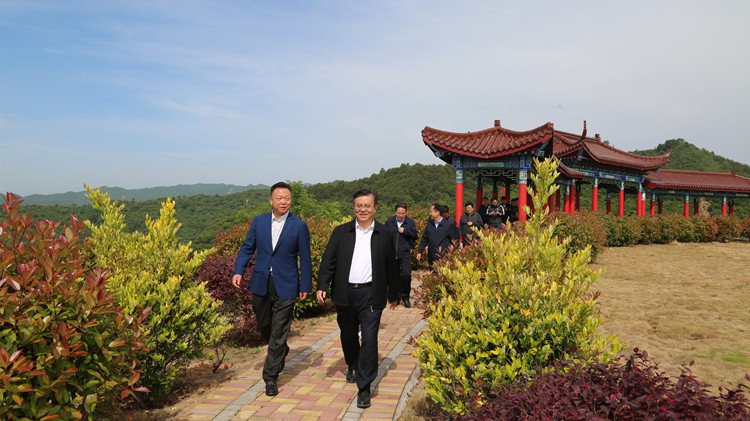 省人民檢察院黨組書記、檢察長朱玉調(diào)研金徽股份